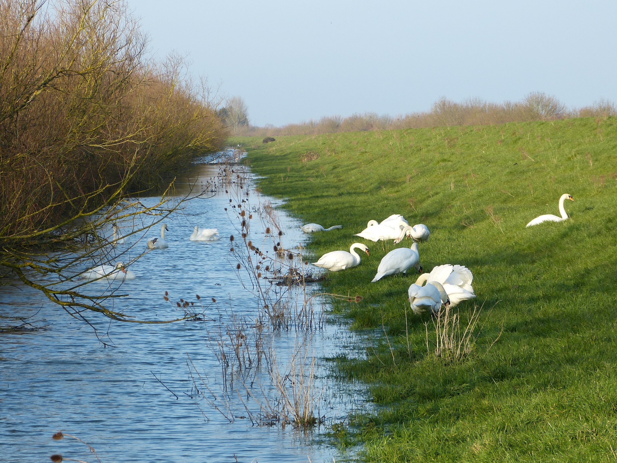 Fen Edge Trail