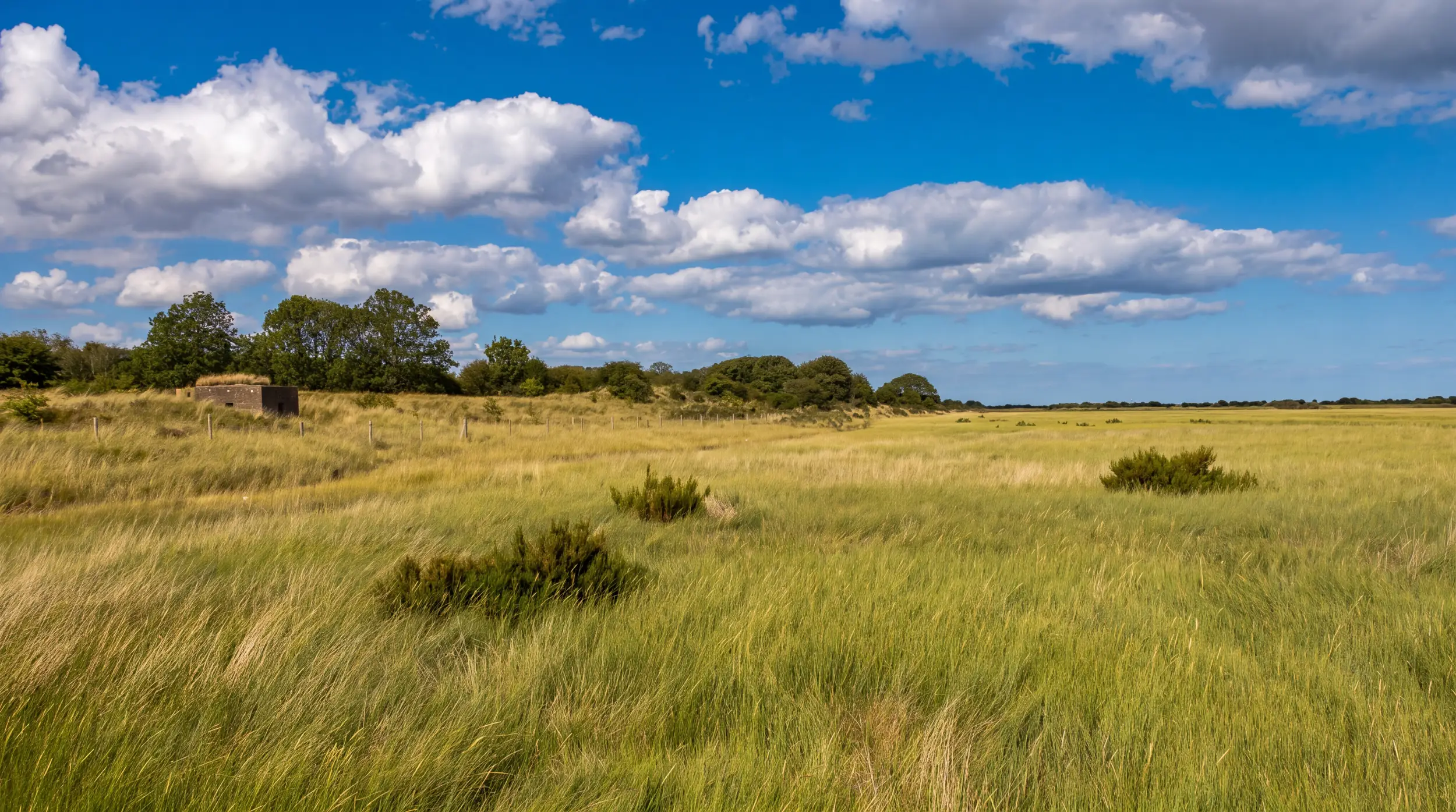 Gibraltar Point National Nature Reserve