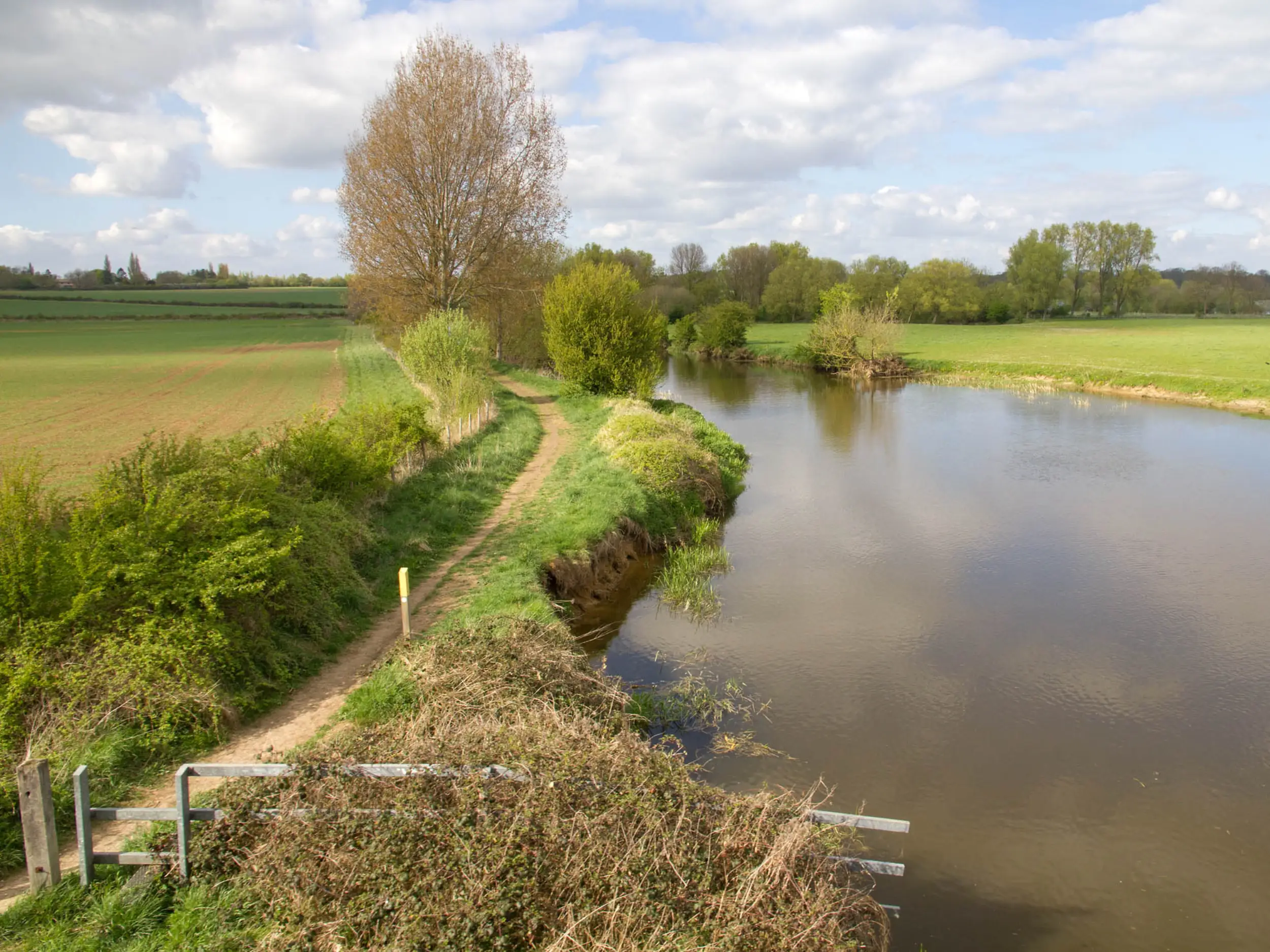 Hereward Way