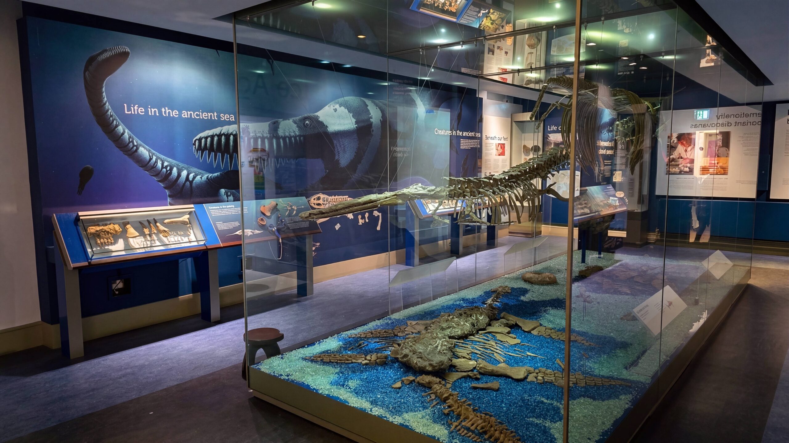 Peterborough Museum
