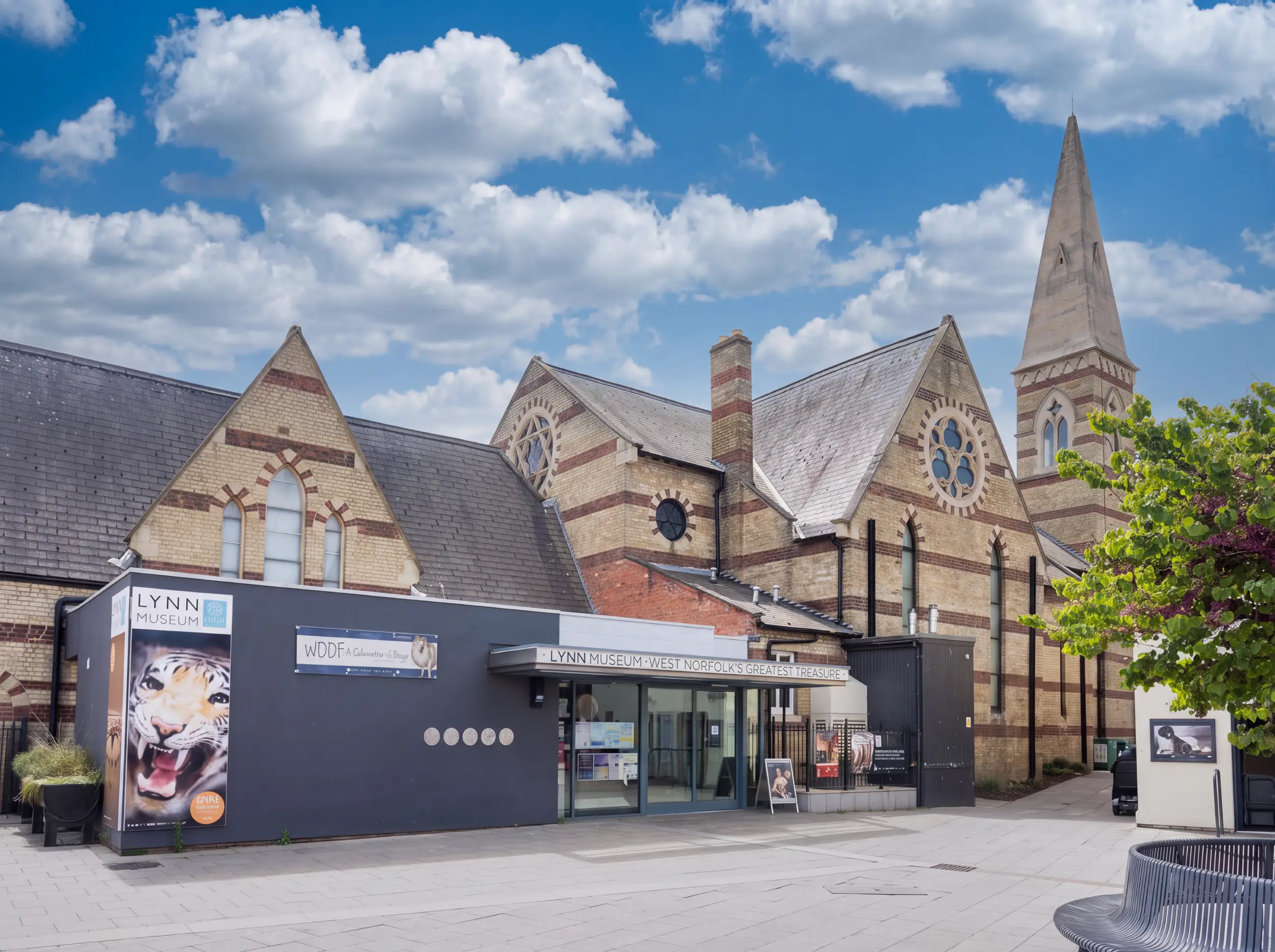 Lynn Museum