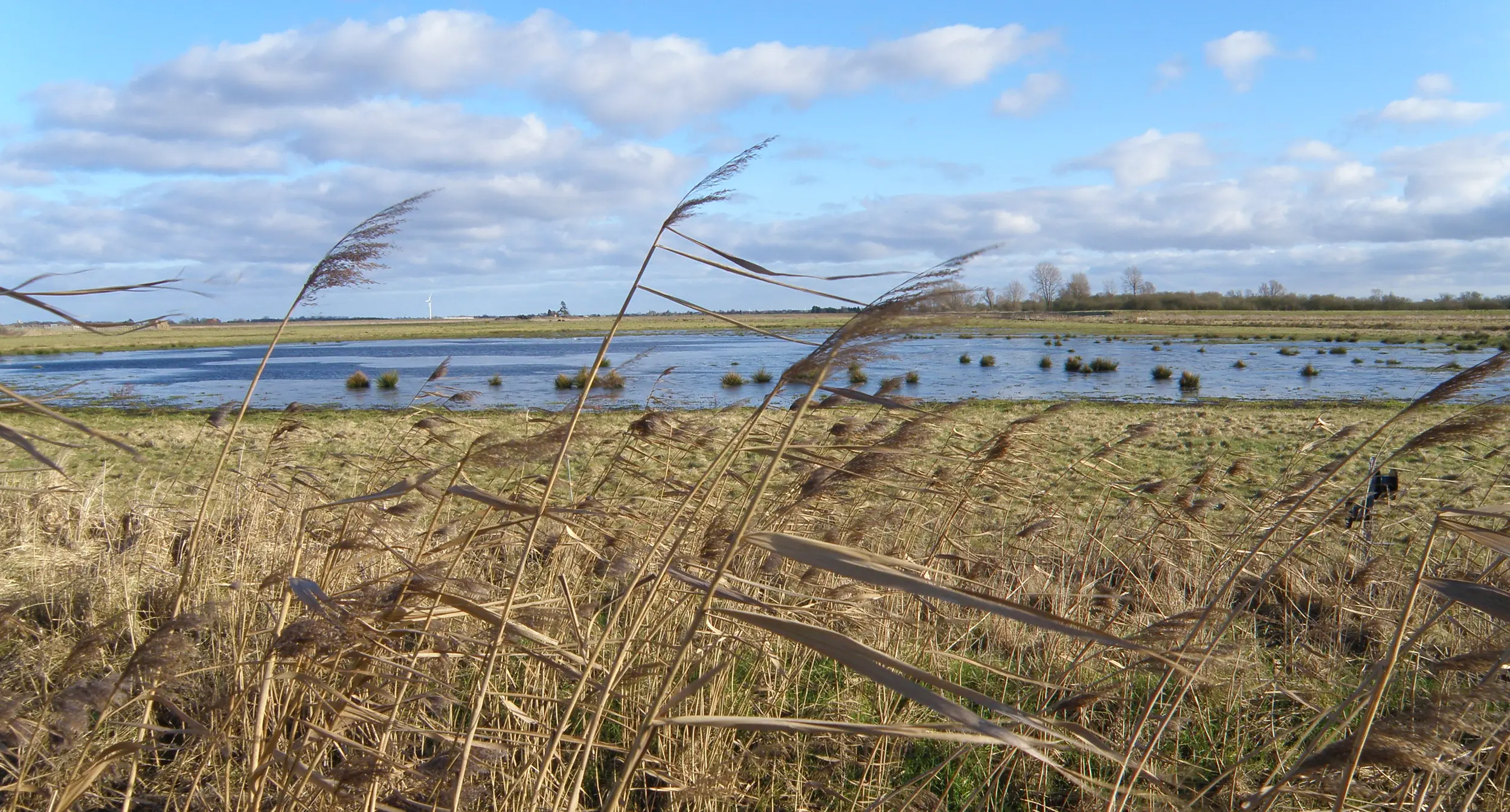 The Great Fen